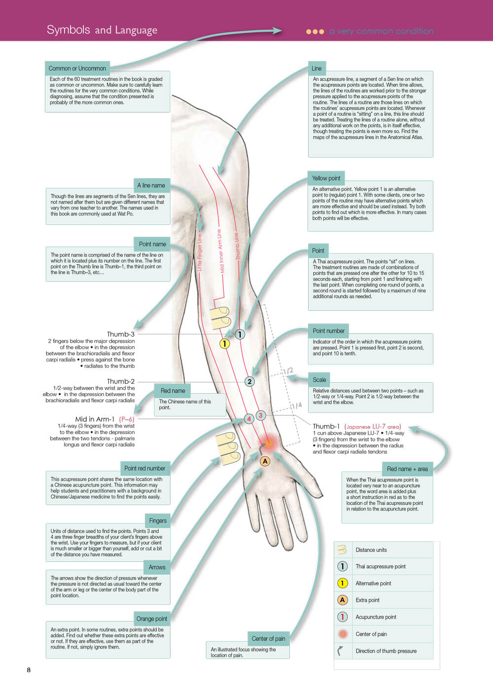 Acupressure Points Chart In Hindi