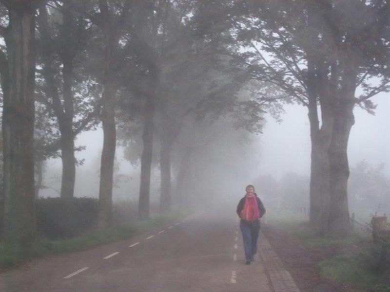 A woman in the middle of a road with trees on a foggy weather