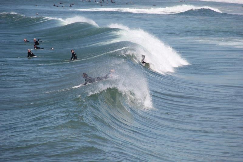 Surfers on a large wave